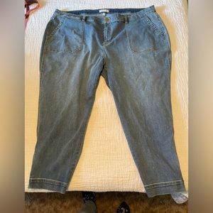 Lane Bryant Signature Fit Boyfriend Jogger Jean - Light Wash - Size 28